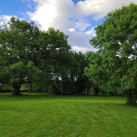 Gite De La Janiere Sainte-Luce-sur-Loire Extérieur photo