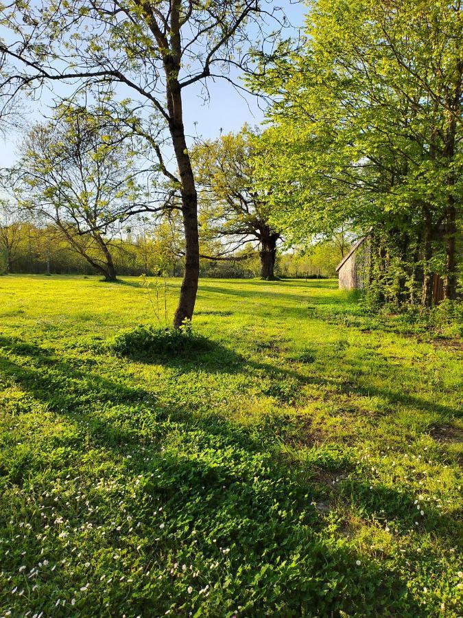 Gite De La Janiere Sainte-Luce-sur-Loire Extérieur photo