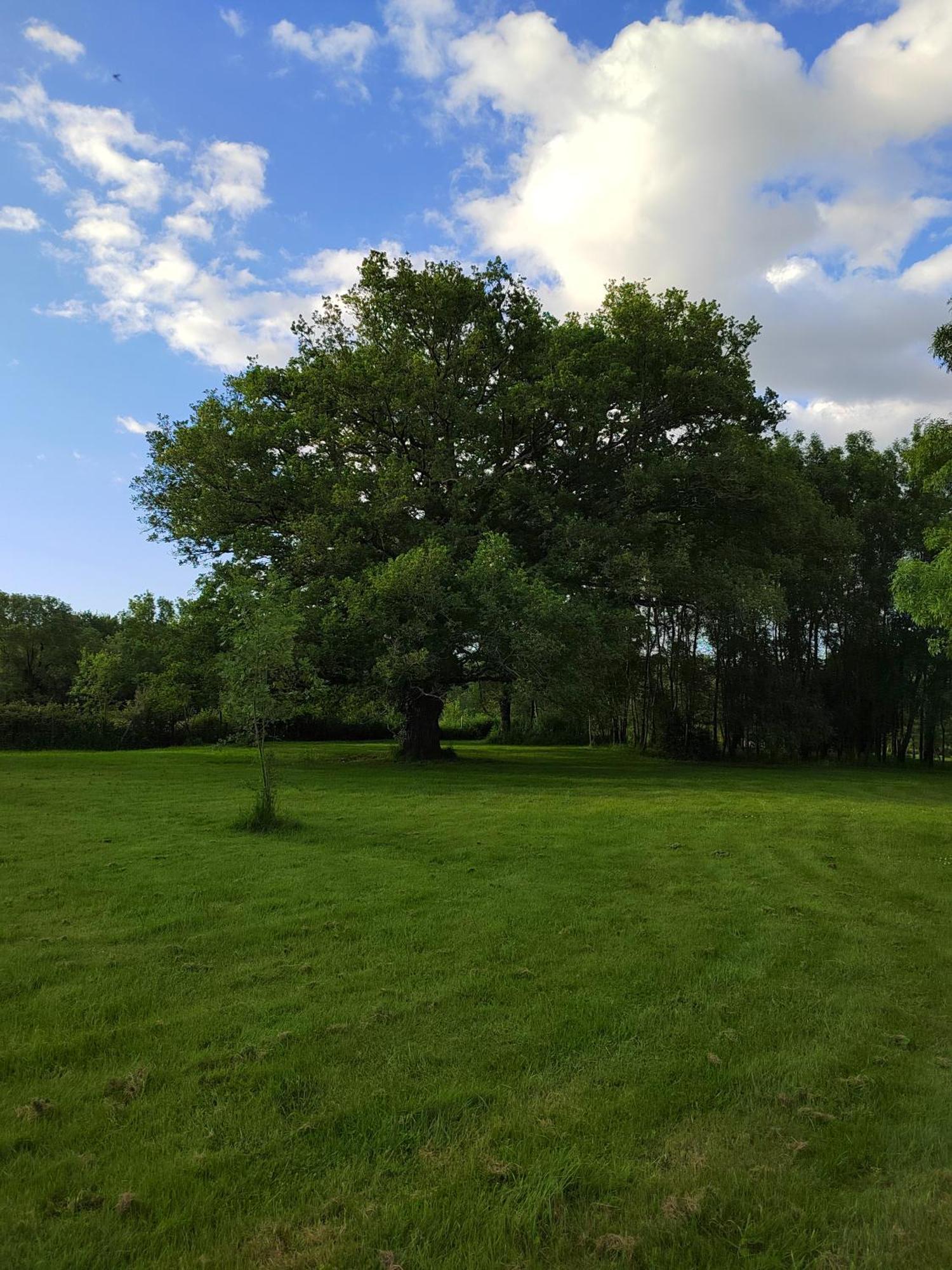 Gite De La Janiere Sainte-Luce-sur-Loire Extérieur photo