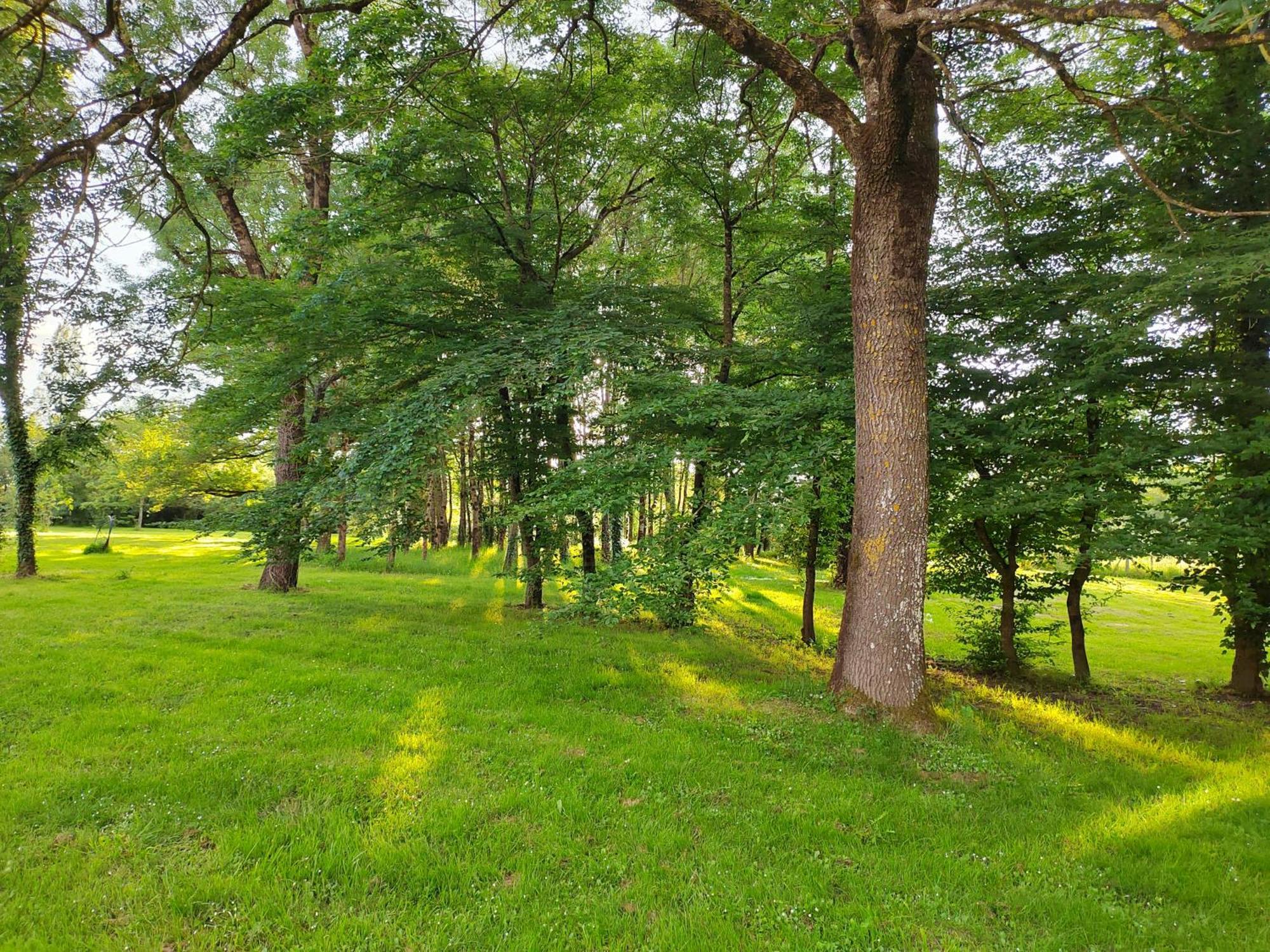 Gite De La Janiere Sainte-Luce-sur-Loire Extérieur photo