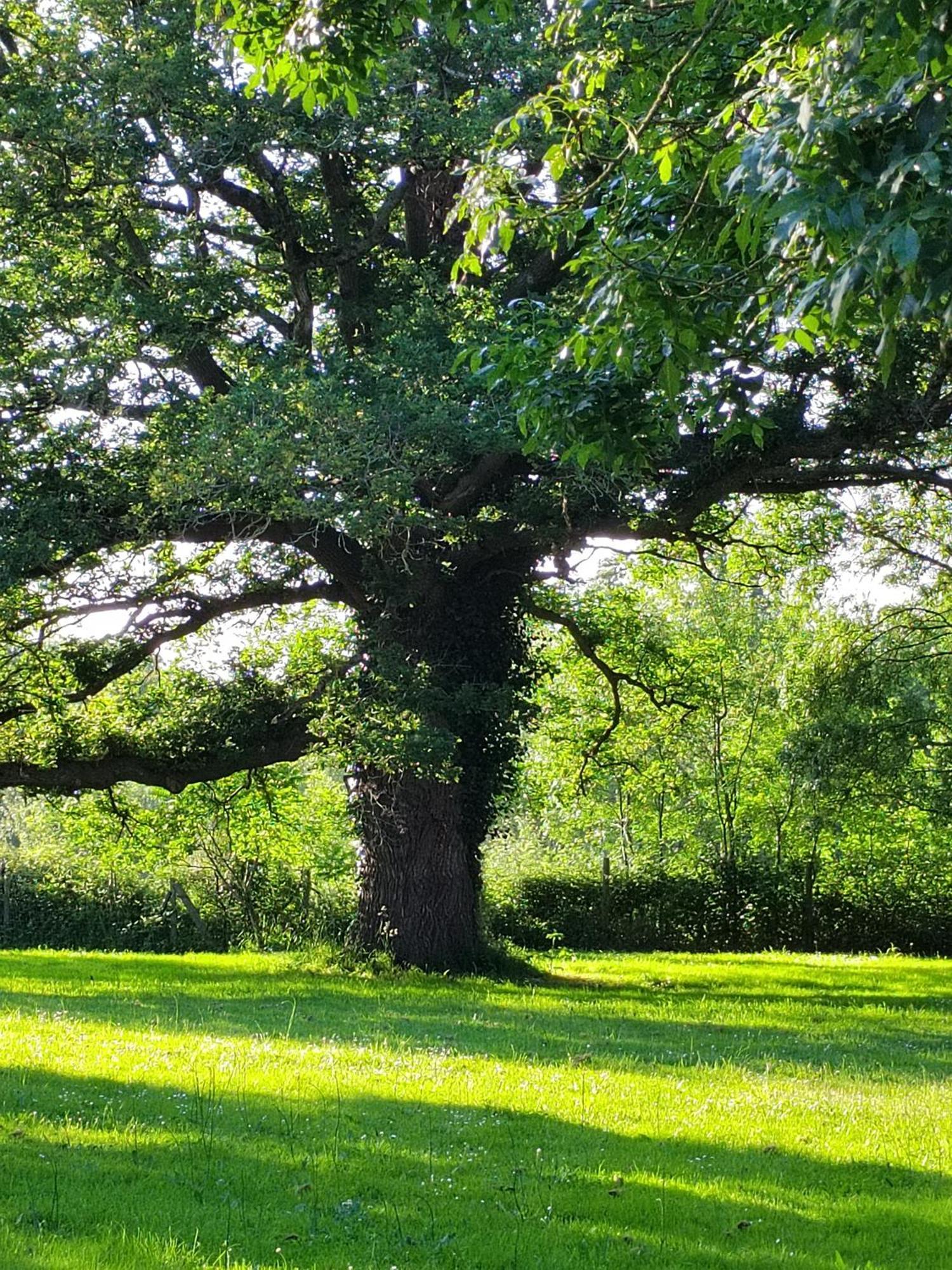 Gite De La Janiere Sainte-Luce-sur-Loire Extérieur photo